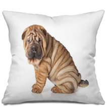 Portrait Of Sharpei Puppy Dog Pillows 47787365