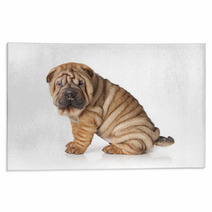 Portrait Of Sharpei Puppy Dog Rugs 47787365