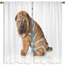 Portrait Of Sharpei Puppy Dog Window Curtains 47787365
