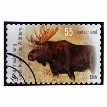 Postage Stamp Germany 2012 Moose, Alces Alces Rugs 64364395