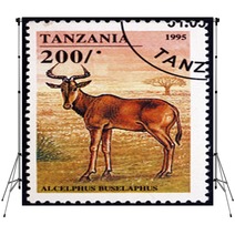 Postage Stamp Tanzania 1995 Hartebeest African Antelope Backdrops 136746814