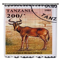 Postage Stamp Tanzania 1995 Hartebeest African Antelope Bath Decor 136746814