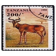 Postage Stamp Tanzania 1995 Hartebeest African Antelope Rugs 136746814