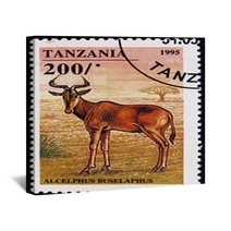 Postage Stamp Tanzania 1995 Hartebeest African Antelope Wall Art 136746814