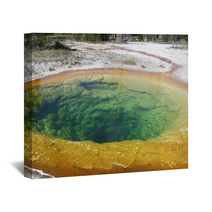 Pozza D'acqua Colorata Yellowstone,usa Wall Art 60761241