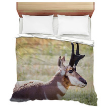 Pronghorn Antelope Bedding 70230909