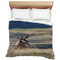Pronghorn Antelope Bedding 88819914