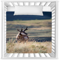 Pronghorn Antelope Nursery Decor 88819914