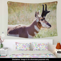 Pronghorn Antelope Wall Art 70230909