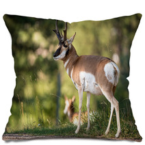 Pronghorn Sheep Pillows 98519413
