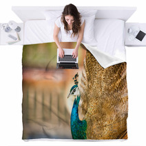Proud Beautiful Peacock Blankets 65409907