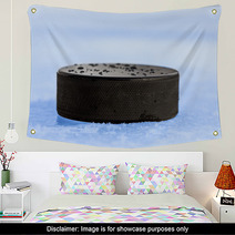 Puck On Blue Ice Wall Art 64584028