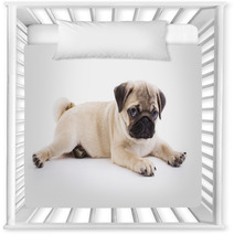 Pug Puppy Nursery Decor 40549198