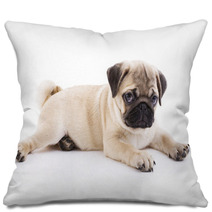 Pug Puppy Pillows 40549198