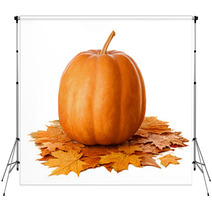 Pumpkin With Dry Autumn Leaves On White Background Backdrops 70365751