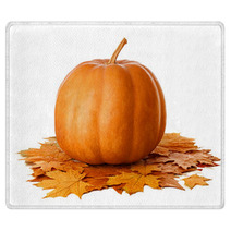 Pumpkin With Dry Autumn Leaves On White Background Rugs 70365751