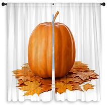 Pumpkin With Dry Autumn Leaves On White Background Window Curtains 70365751
