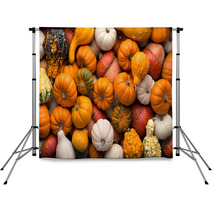 Pumpkins Background Backdrops 56860170
