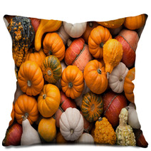 Pumpkins Background Pillows 56860170