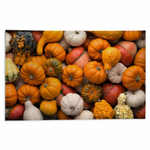 Pumpkins Background Rugs 56860170