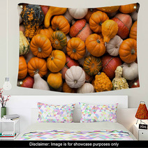Pumpkins Background Wall Art 56860170