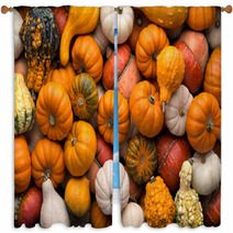 Pumpkins Background Window Curtains 56860170