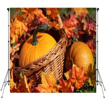 Pumpkins In Basket And Colorful Autumn Leaves Backdrops 53871345