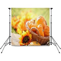 Pumpkins In Basket And Decorative Corns Backdrops 53958058