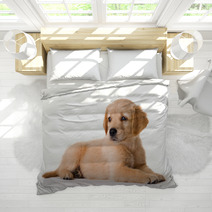 Puppy Bedding 1123882
