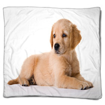 Puppy Blankets 1123882
