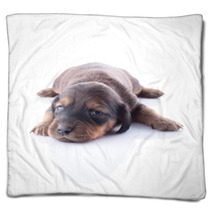 Puppy Blankets 49283369