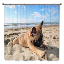 Puppy Dog French Bouledogue At Seaside Bath Decor 62411151