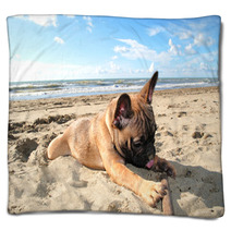 Puppy Dog French Bouledogue At Seaside Blankets 62411151