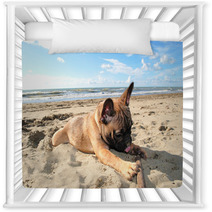 Puppy Dog French Bouledogue At Seaside Nursery Decor 62411151