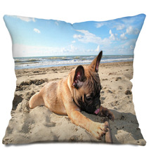 Puppy Dog French Bouledogue At Seaside Pillows 62411151