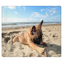 Puppy Dog French Bouledogue At Seaside Rugs 62411151