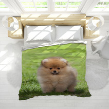 Puppy On Green Grass Bedding 52516561