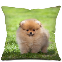 Puppy On Green Grass Pillows 52516561