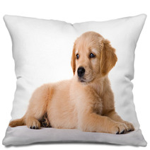 Puppy Pillows 1123882