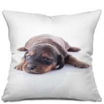 Puppy Pillows 49283369