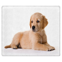 Puppy Rugs 1123882