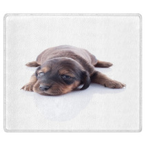 Puppy Rugs 49283369