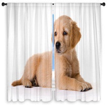 Puppy Window Curtains 1123882