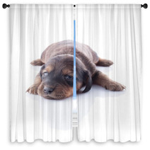 Puppy Window Curtains 49283369