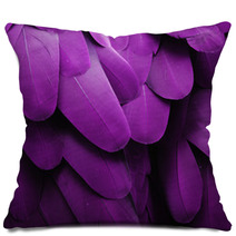 Purple Feathers Pillows 61004362