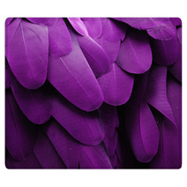 Purple Feathers Rugs 61004362