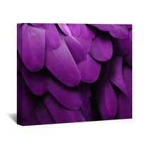 Purple Feathers Wall Art 61004362