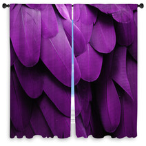 Purple Feathers Window Curtains 61004362