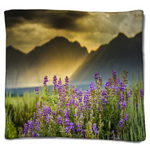 Purple Lupines In The Tetons Blankets 55016403