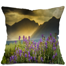 Purple Lupines In The Tetons Pillows 55016403